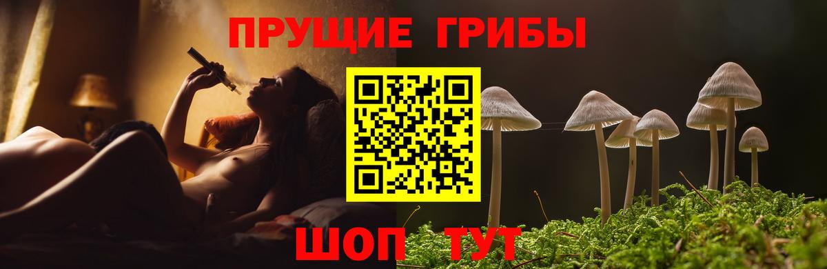 Кингисепп  Галлюциногенные грибы прущие грибы  Вход с VPN 